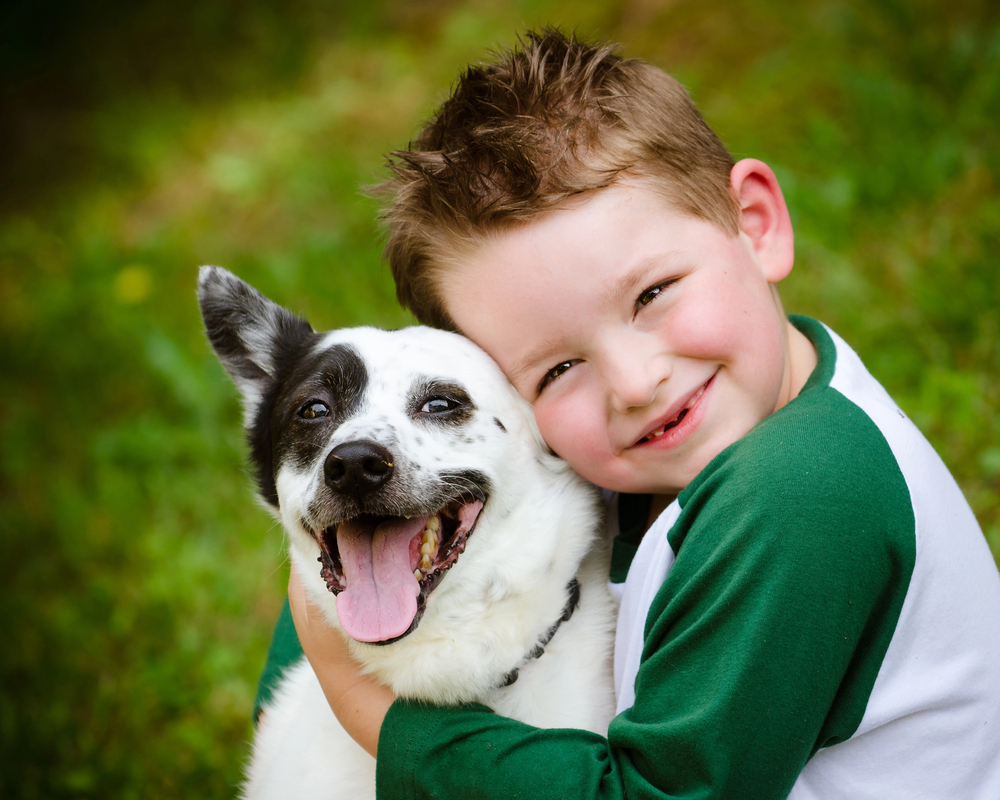 pets reduce anxiety
