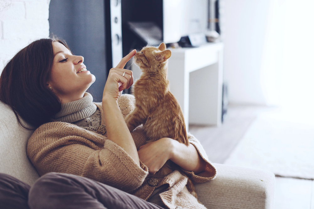 animals reduce stress levels